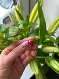 Ruby