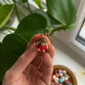Berry Bear